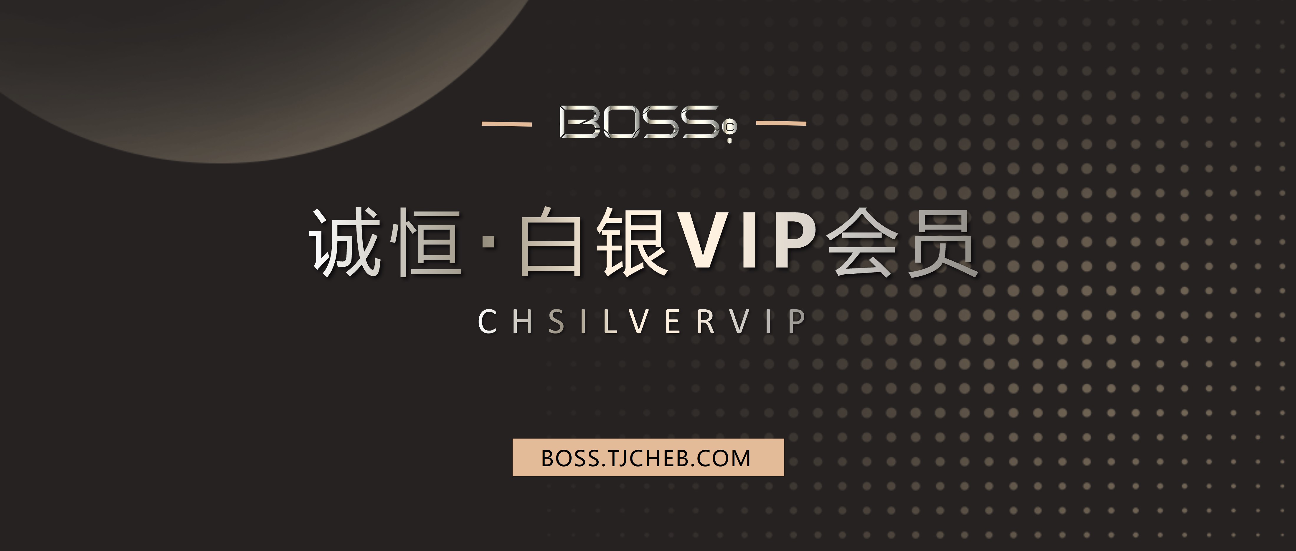 白银VIP-1