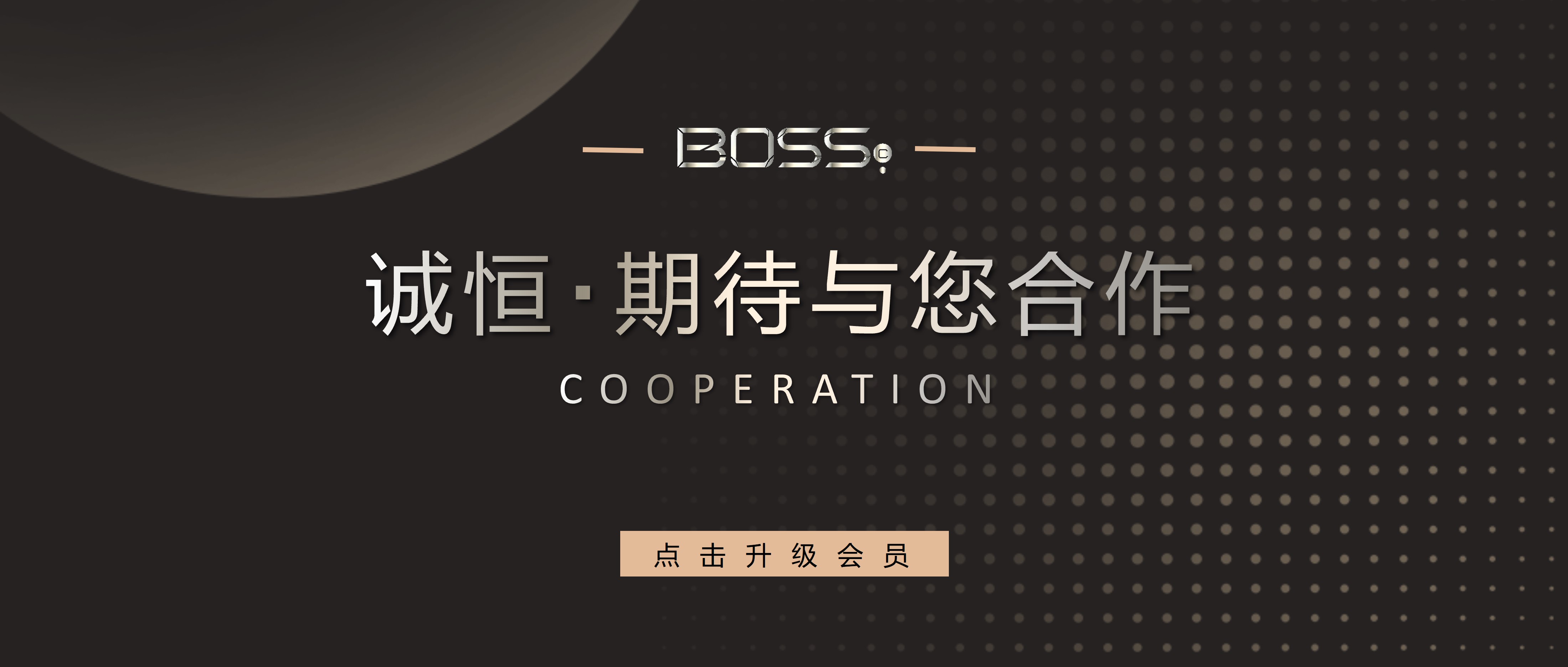 白银VIP-3