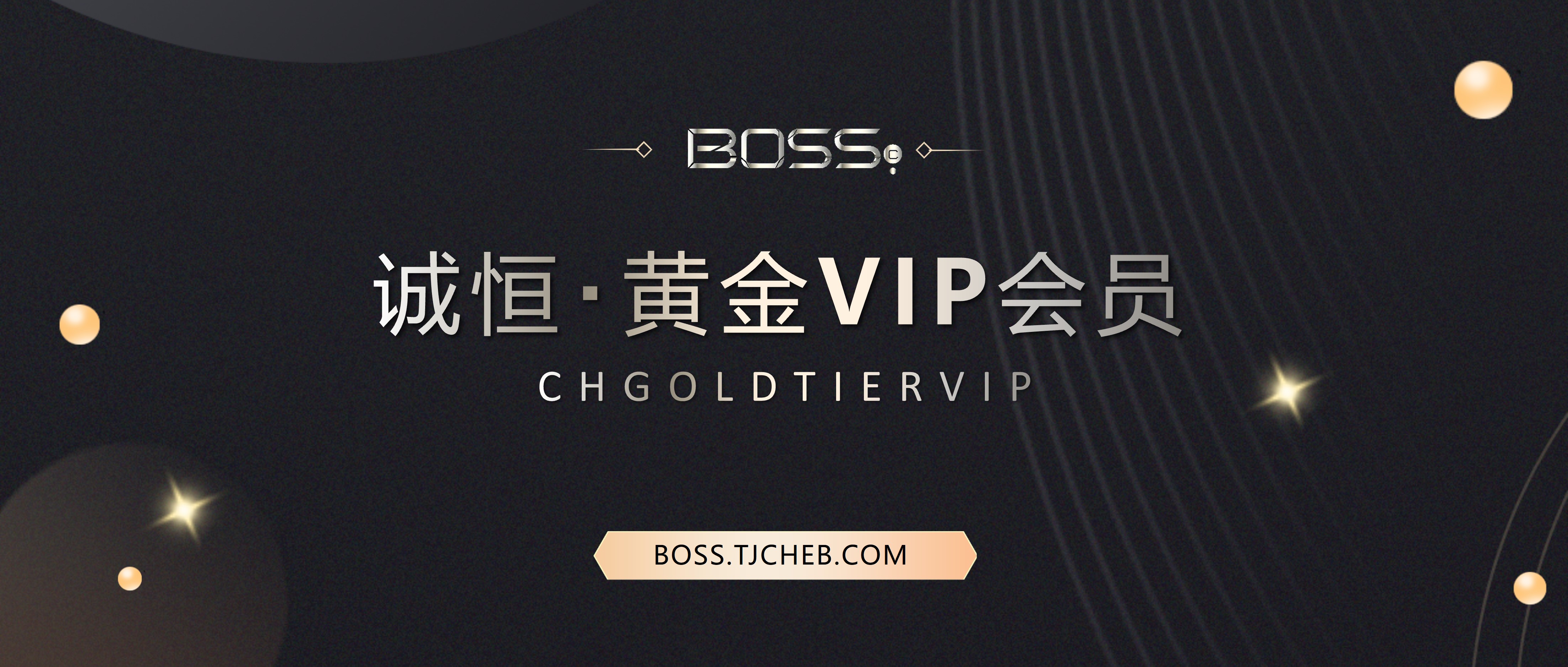 黄金VIP-1