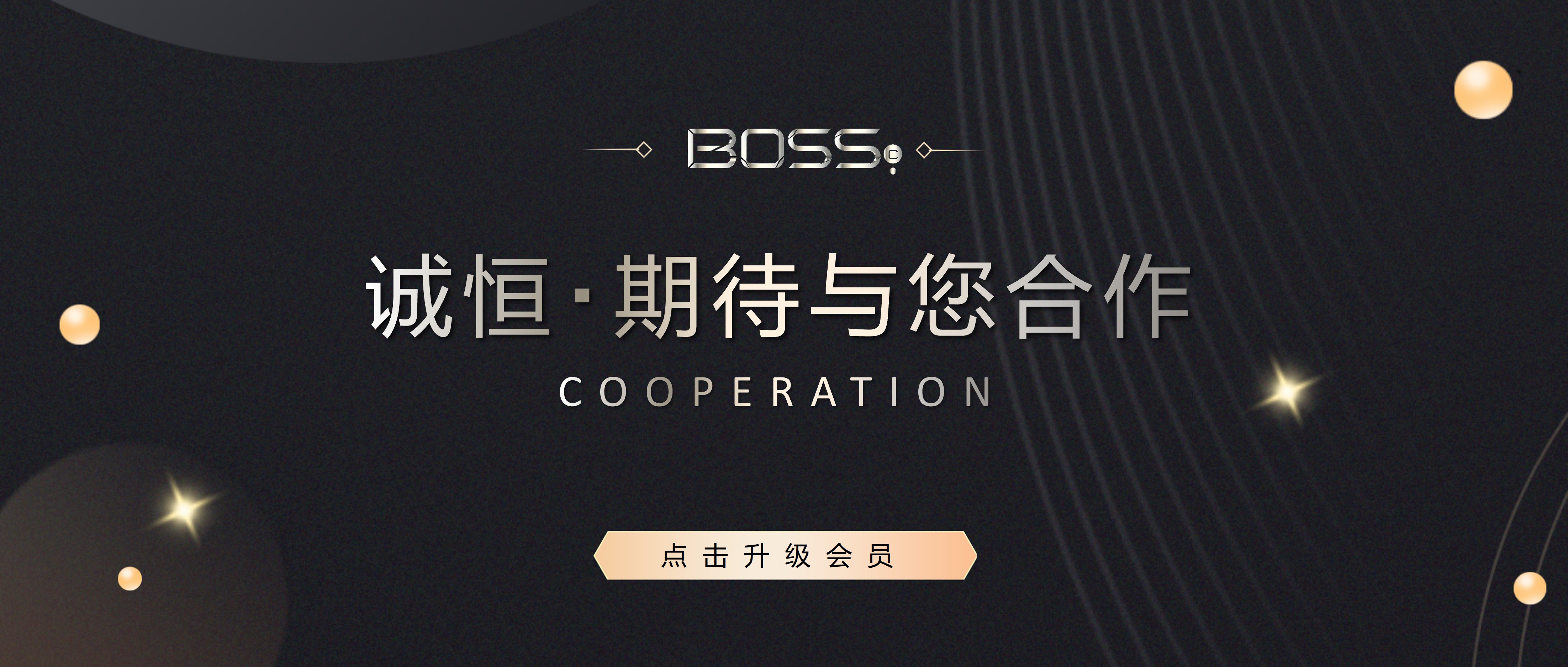 黄金VIP-3
