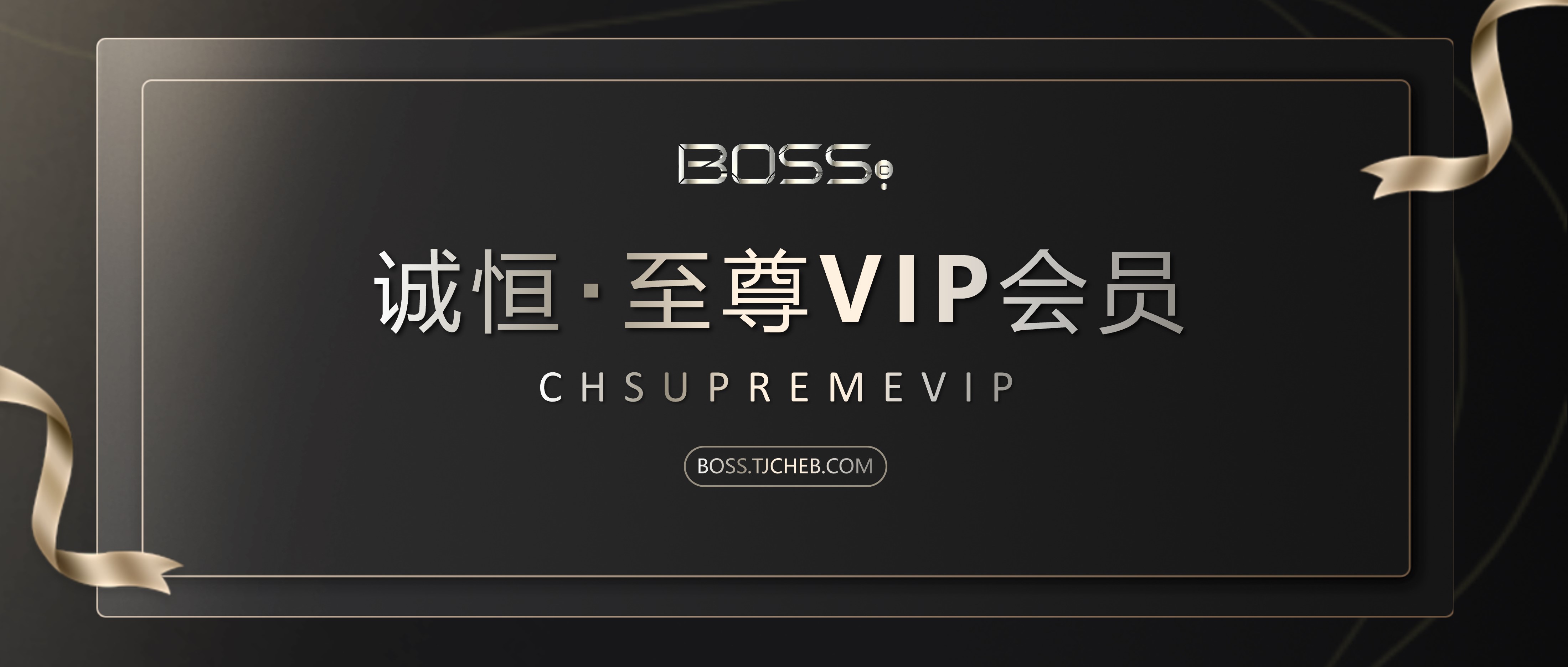至尊VIP-1
